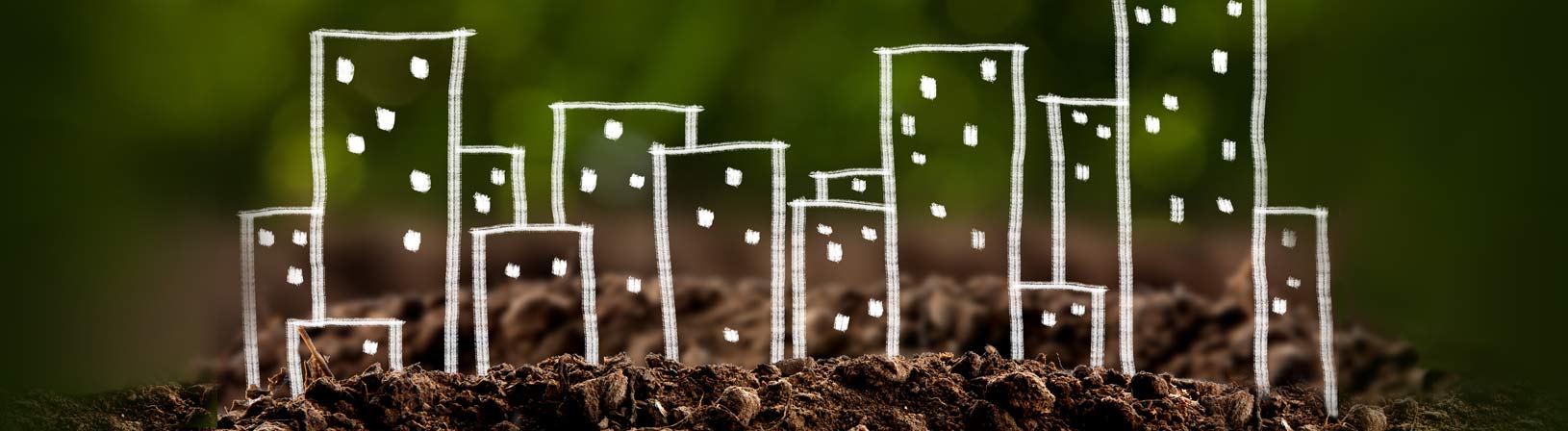 growing cities