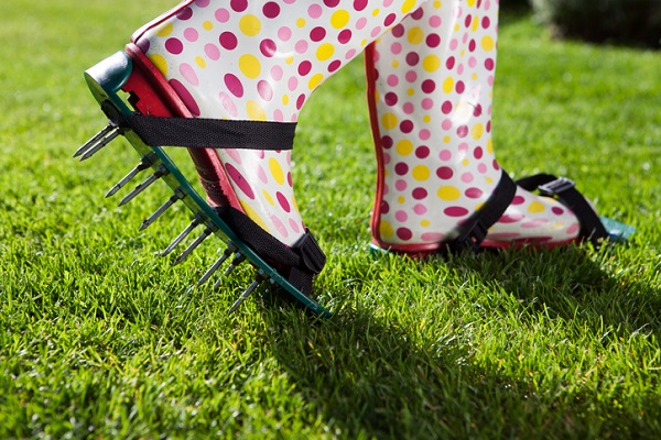 Maintaining a Healthy Lawn - Lawn Care Tips