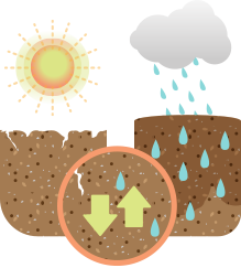 waltEDU_ED_soil-up-and-down