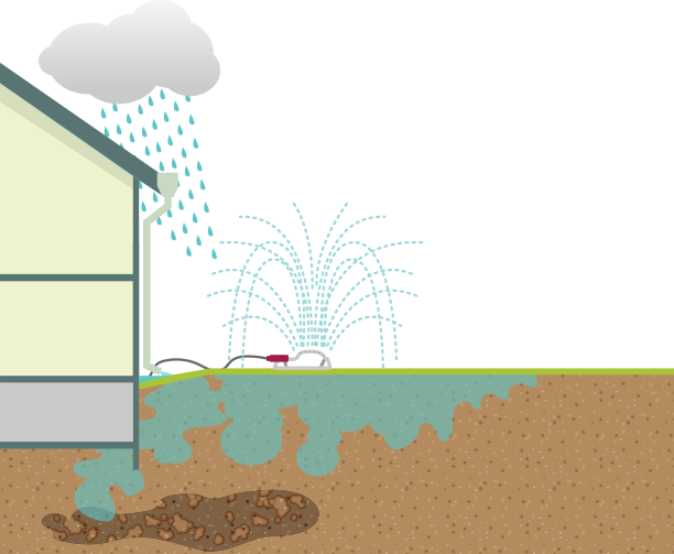 waltEDU_ED_walts-sprinkler