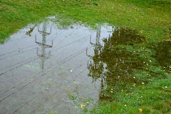 Standing water on a lawn