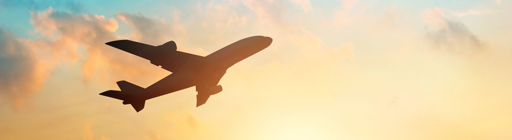 8 Tips to Prepare Your Home For Holiday Travel