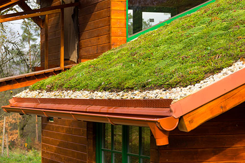 Se convierte en traidor Reclamación Building A Green Roof: Is It Worthwhile? – 2-10 Home Buyers Warranty