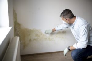 Man with mouth nose mask and blue shirt and gloves n front of white wall with mold