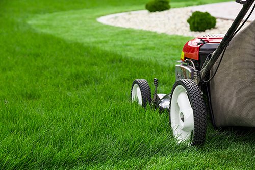 Lawn Care Worker