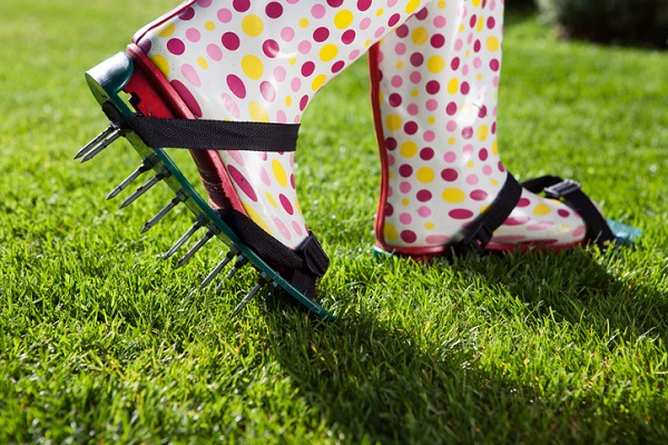 Maintaining a Healthy Lawn With Sustainable Lawn Care Tips