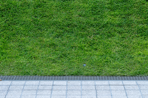 natural lawn care