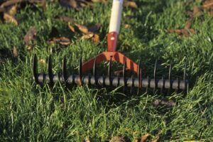 A manually powered lawn aerator 