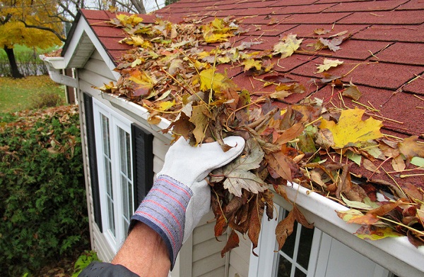 6 Fall Home Maintenance Tips for Homeowners