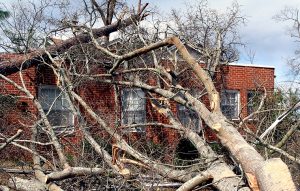 Protecting Windows From Wind Damage: Why and How