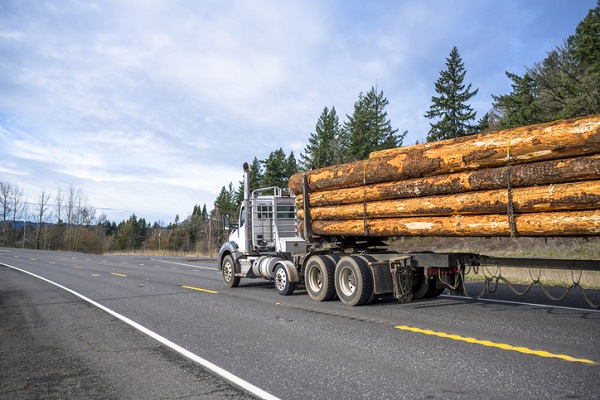 Lumber Prices Start Falling: Why and What It Means to Builders