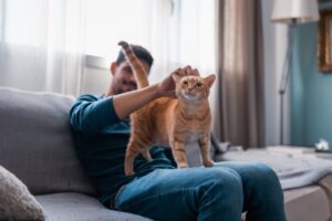 young man in blue shirt with domestic cats at home