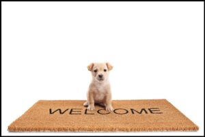 A tiny, tan, pitbull-mix puppy sitting on a brown welcome mat. The mat has the word "Welcome" imprinted on it in black text