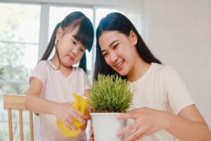 An Asian mother on the right and young Asian daughter on the left watering a green succulent plant that's in a white pot. The daughter is spraying the plant with a yellow spray bottle