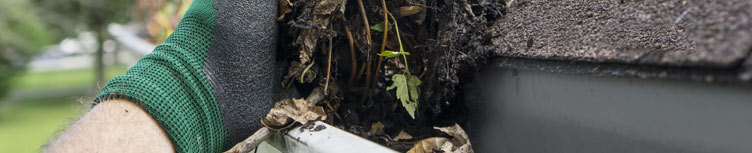 – clean gutters – Top Home Maintenance Tips