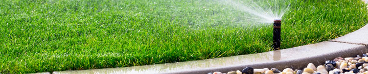 – sprinkler – Seasonal Maintenance Tips